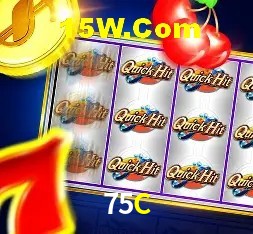 Login Seguro 75C